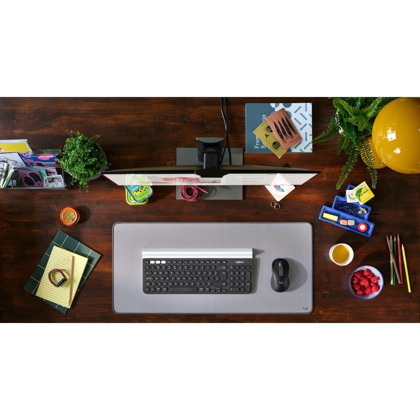 Logitech Signature M650 Wireless Mouse (Graphite)